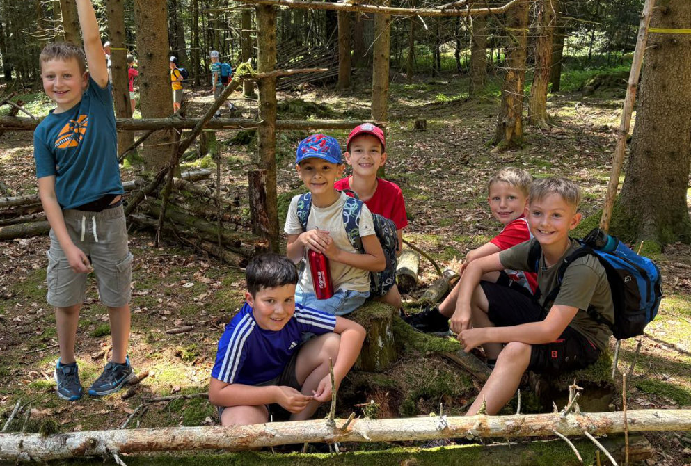 Schule im Wald